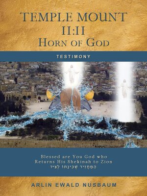 cover image of Temple Mount 11